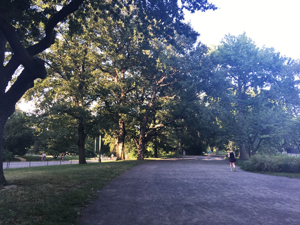 central park image