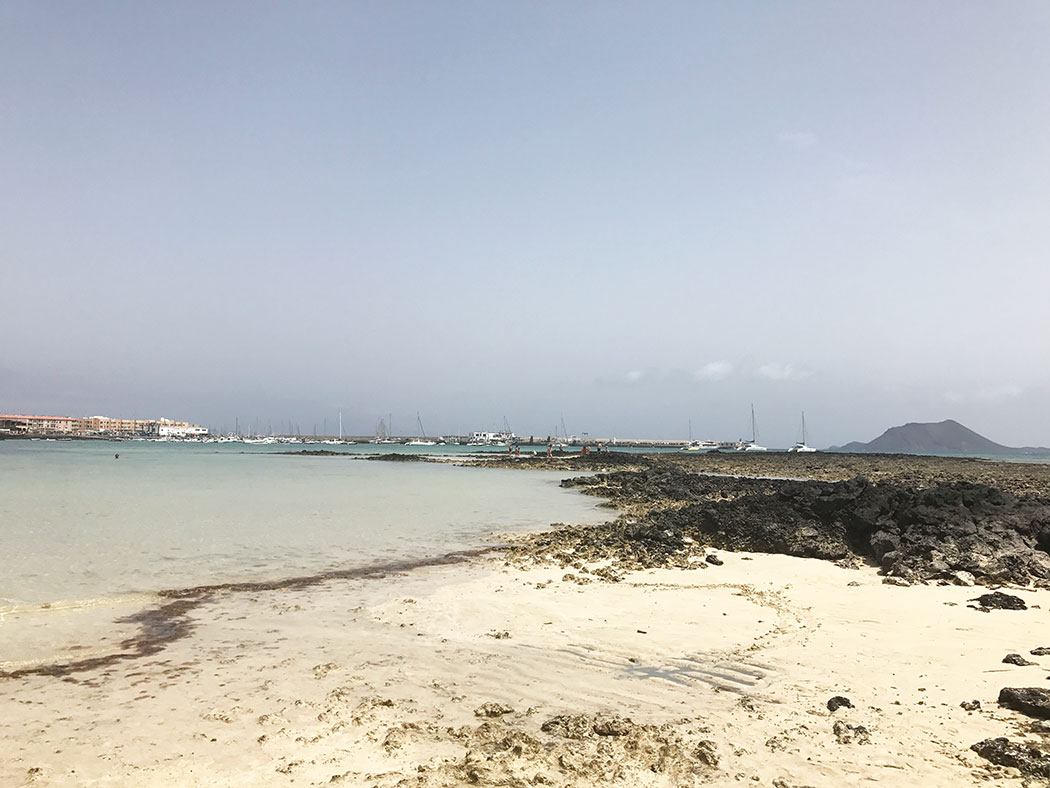 things to do in Fuerteventura