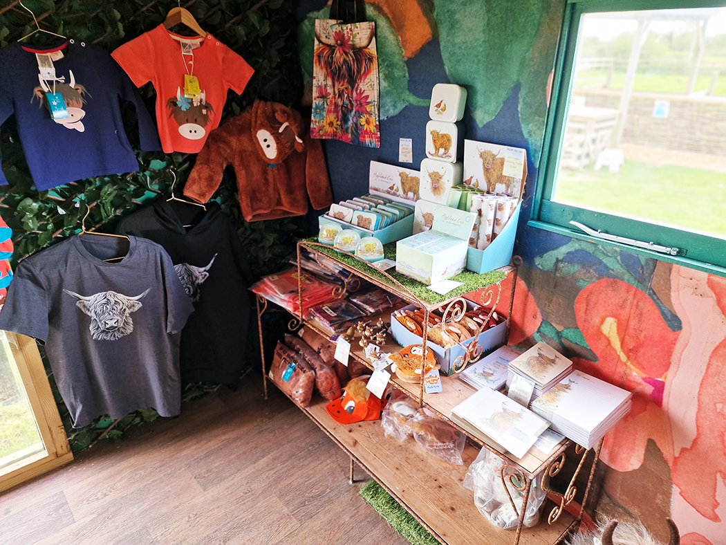 Highland cow gifts in gift shop