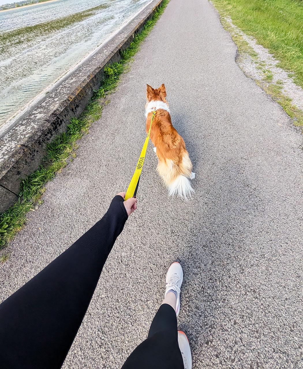 woman running with collie dog