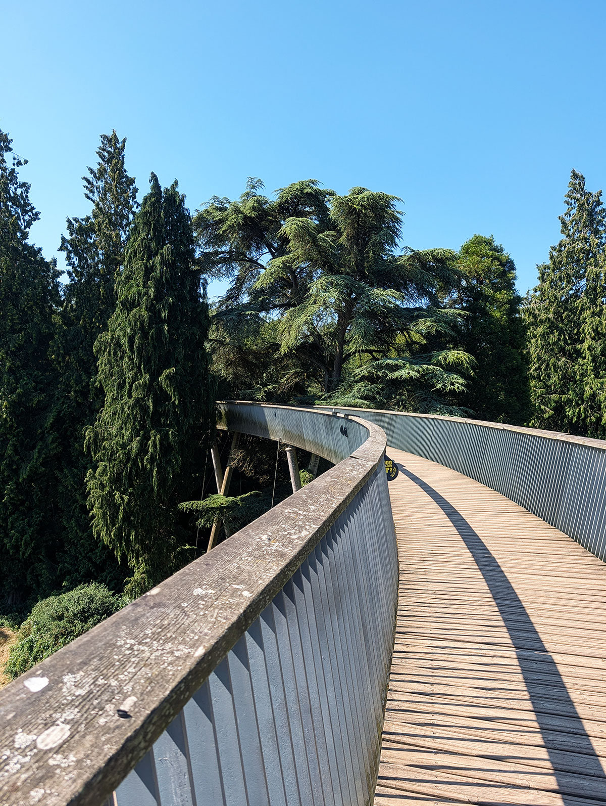 Westonbirt Arboretum things to do 2026