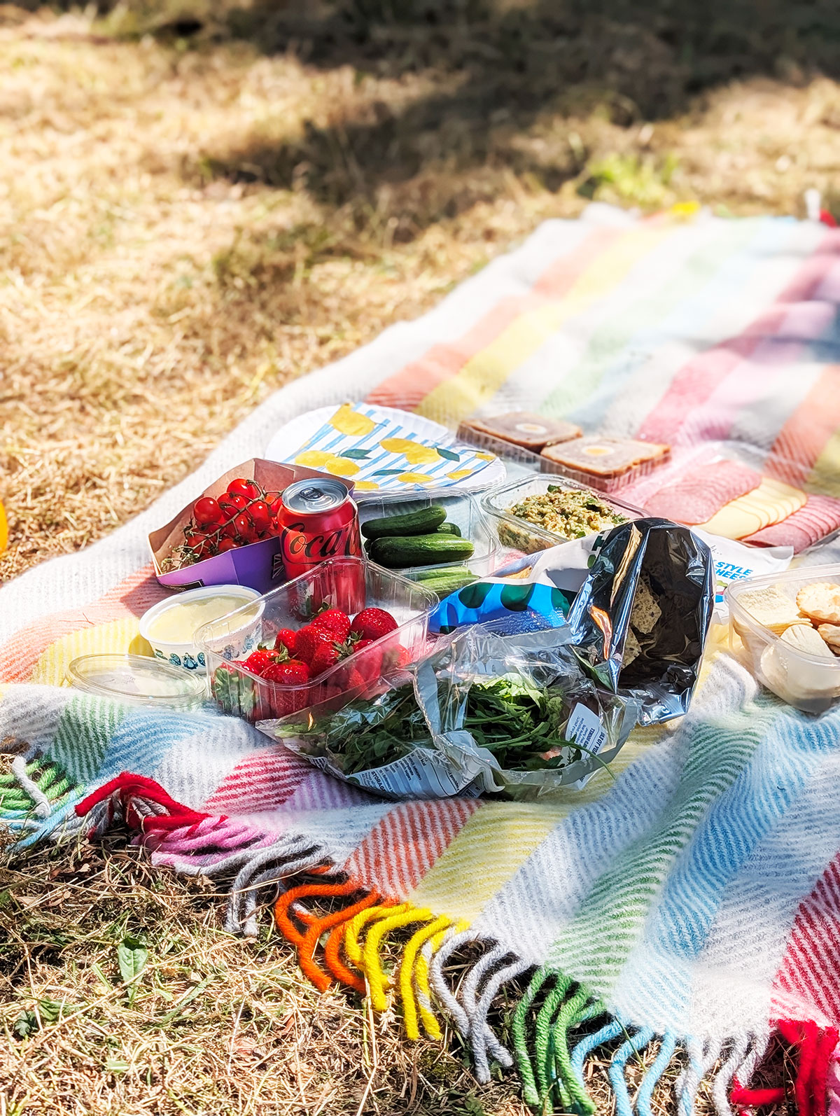 summer picnic at westonbirt arboretum