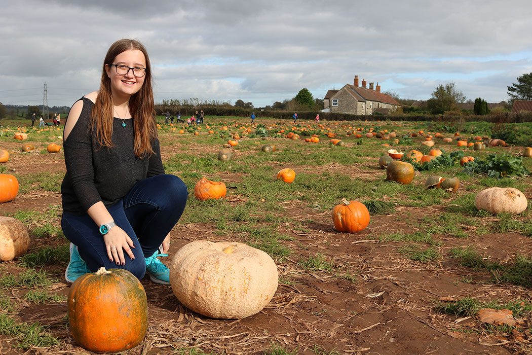 Pumpkin Picking in Somerset