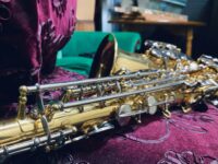 Essential Musical Instruments Every Singer Should Own