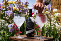 Perfect Cocktails For Summer Sipping this Bank Holiday