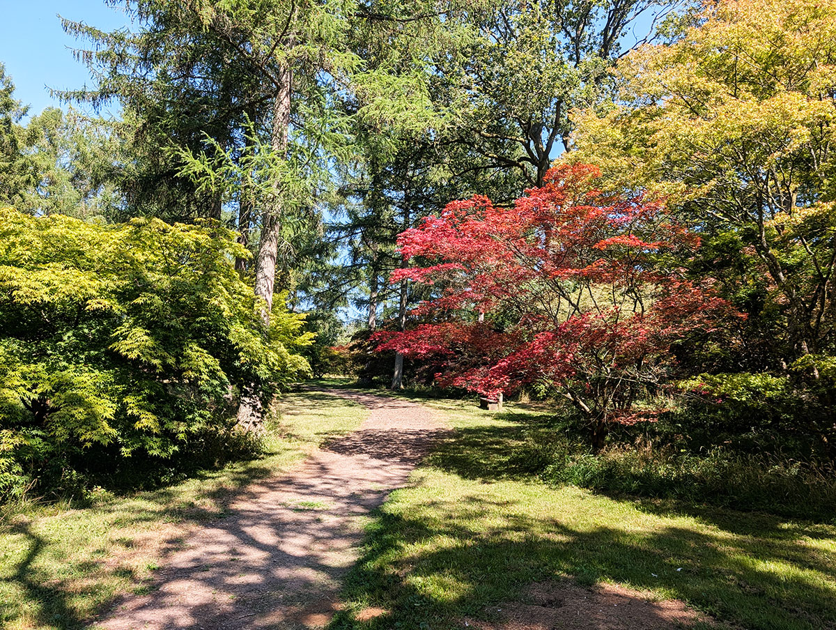 Westonbirt Arboretum review and information